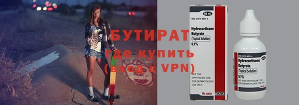 шишки Абаза