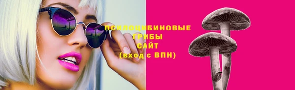 шишки Алексеевка
