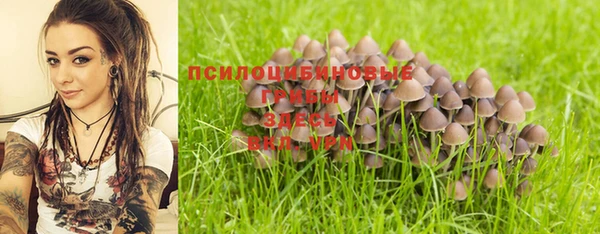 ПСИЛОЦИБИНОВЫЕ ГРИБЫ Алзамай
