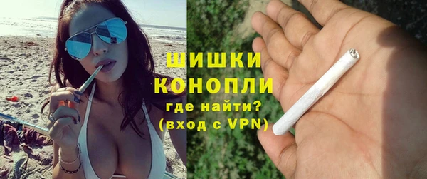 ПСИЛОЦИБИНОВЫЕ ГРИБЫ Алзамай